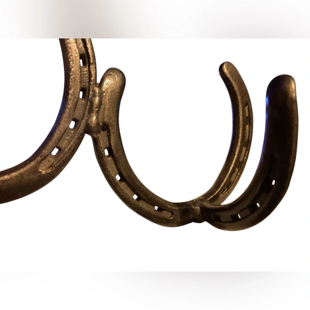 Iron Metal Horseshoe Wall Rack 2 Hook Coat Hat Storage Western Cowboy FIRM $